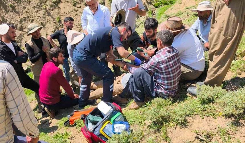 Yüksekova’da yaylada rahatsızlanan çoban kurtarıldı