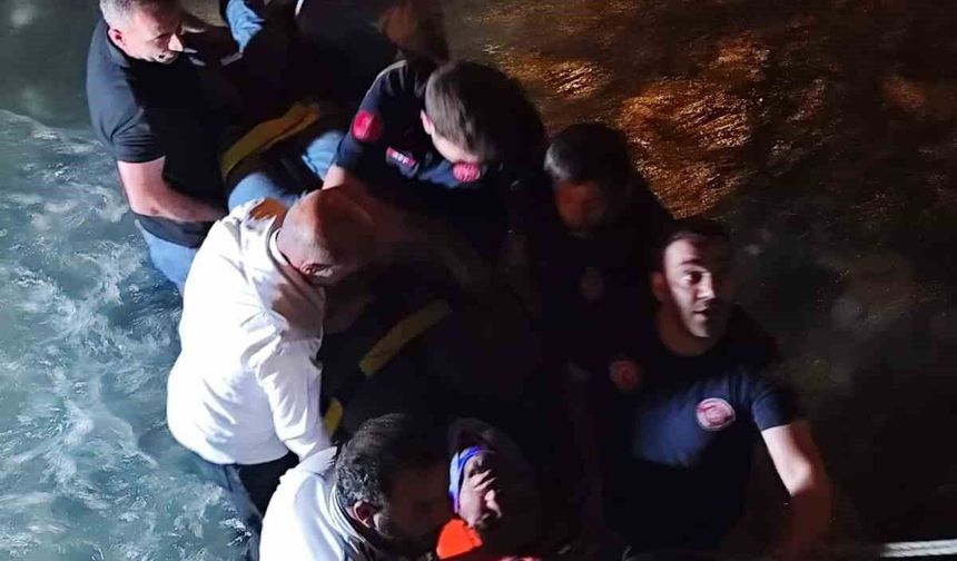 Van’da kamyonet dereye düştü: Sürücü yaralandı