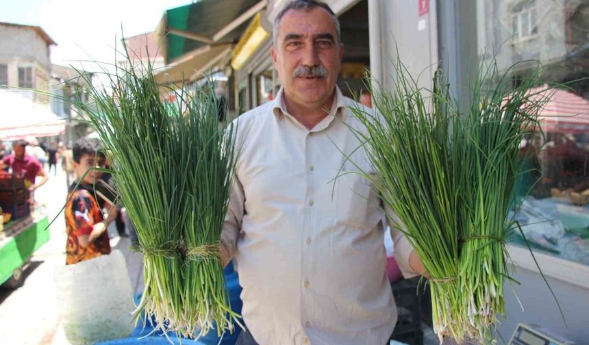 Van’da karın geç çözülmesi şifalı ot sezonunu uzattı