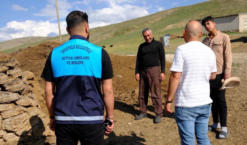 Van İpekyolu'nda kuduz vakası: Arıtoprak Mahallesi (Zeranıs) karantinaya alındı