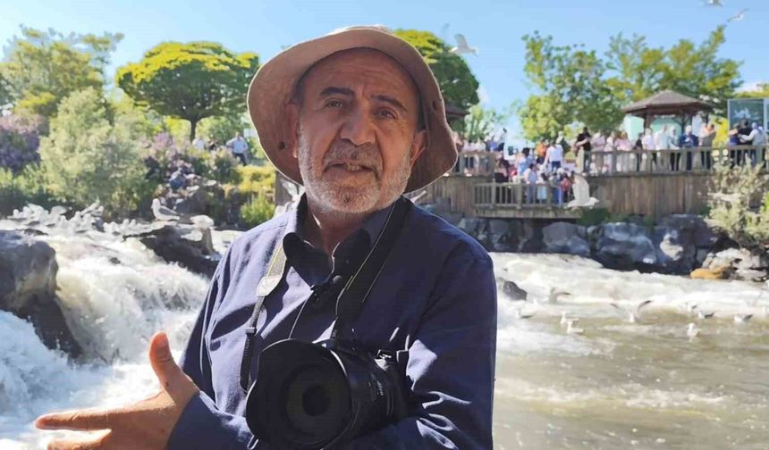 Dünyanın Gözü Van'da: İnci Kefali Göçü Hayran Bırakıyor
