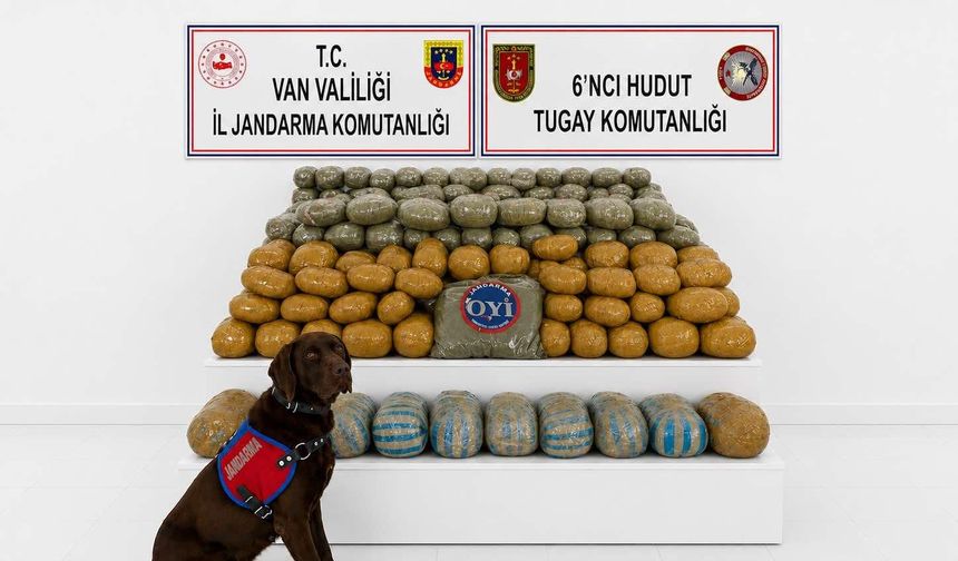 Van'da dev operasyon: 291 kilo esrar ele geçirildi