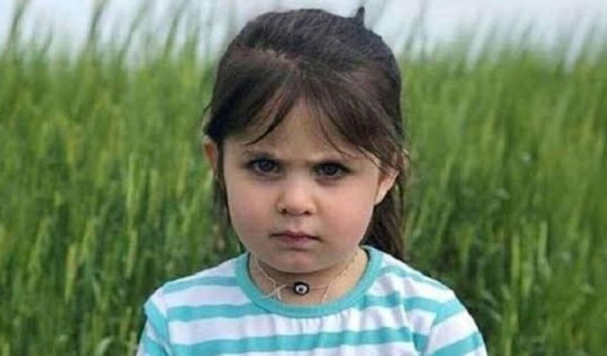 Leyla Aydemir Dosyasında Karar Çıktı: Bir Sanığa Müebbet, 6 Sanığa Beraat