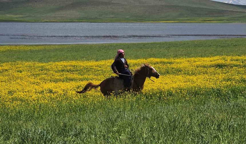 Van'da Yaz ve Kış Yan Yana