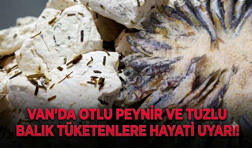 Van’da otlu peynir ve tuzlu balık tüketenlere hayati uyarı!