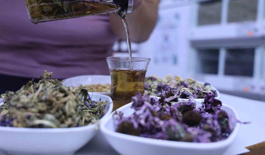 Bitki çaylarında yeni dönem: Tedavi amaçlı ürünler sadece eczanelerde satılacak