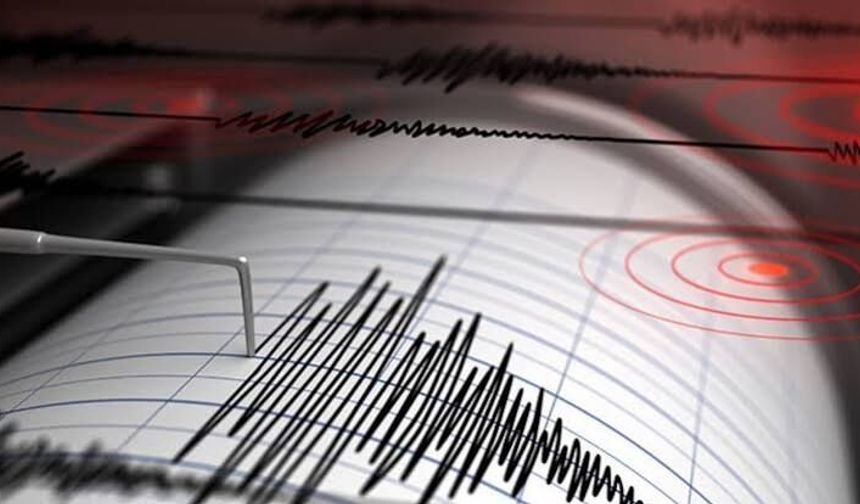 Van Çatak'ta Korkutan Deprem