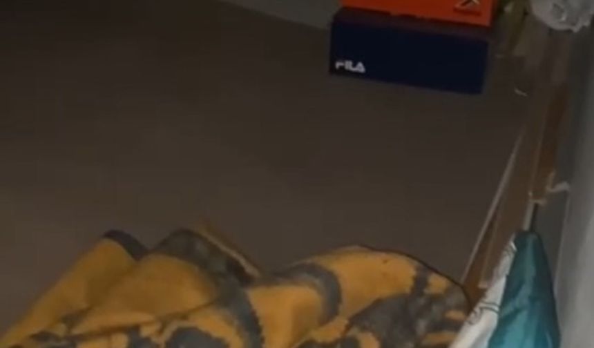 Van Erciş'te 12,5 Yıl Hapis Cezası Olan Müdür Gizli Bölmede Bulundu