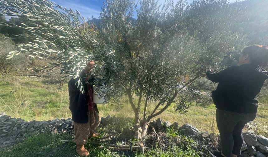 88 yaşındaki Emine nine gençlere taş çıkarıyor