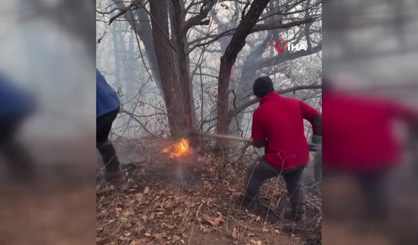 İran’dan orman yangınlarıyla mücadelede yardım talebi: Türkiye 2 uçak gönderiyor