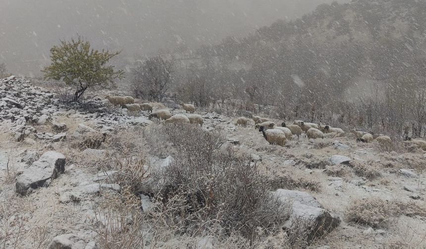 Van Bahçesaray’da kar esareti başladı