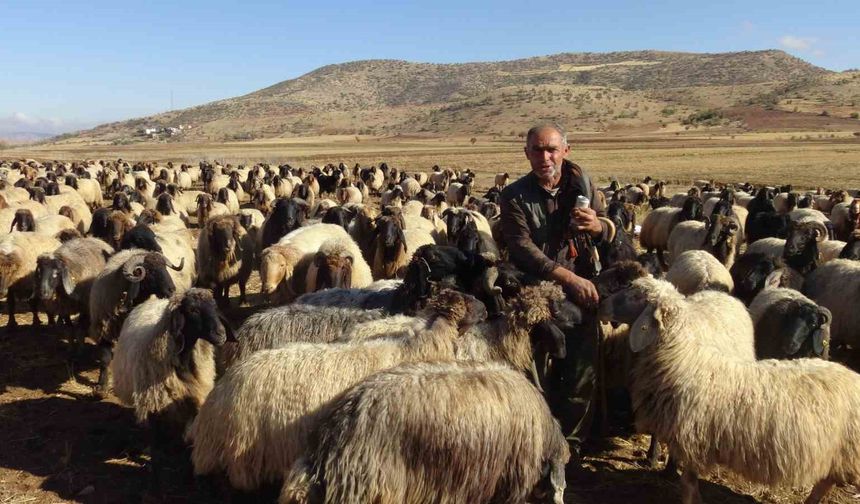 Göçerlerin zorlu yolculuğu