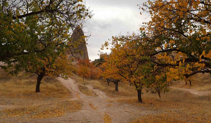 Kapadokya’daki renk cümbüşü dron ile görüntülendi
