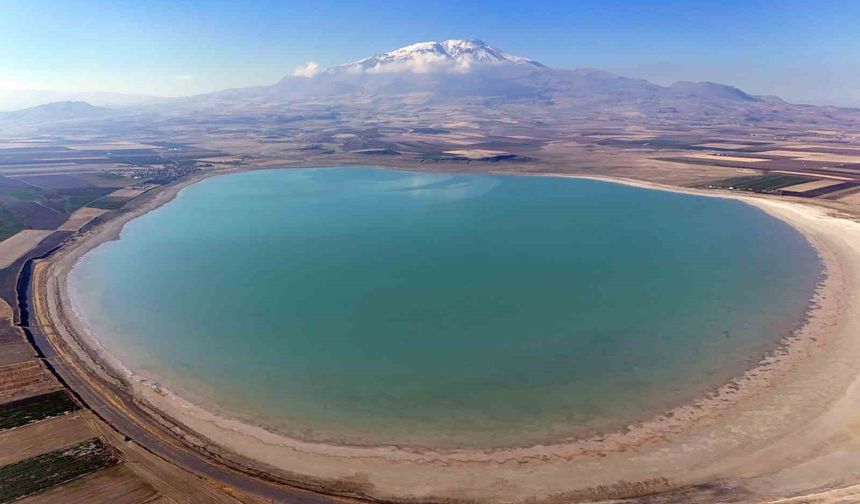 Kuş cenneti Arin Gölü gün geçtikçe alan kaybediyor