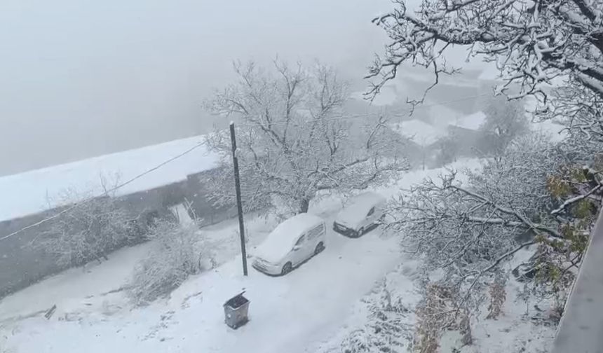 Van’ın Bahçesaray ilçesi beyaza büründü