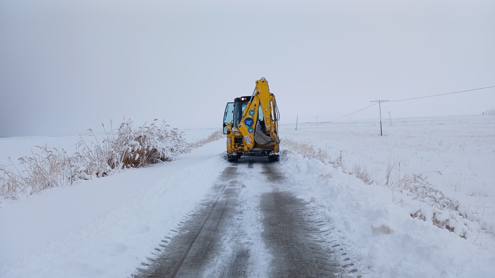 1443Aae0 94F2 43A9 86F9 C56Da7E7B14D