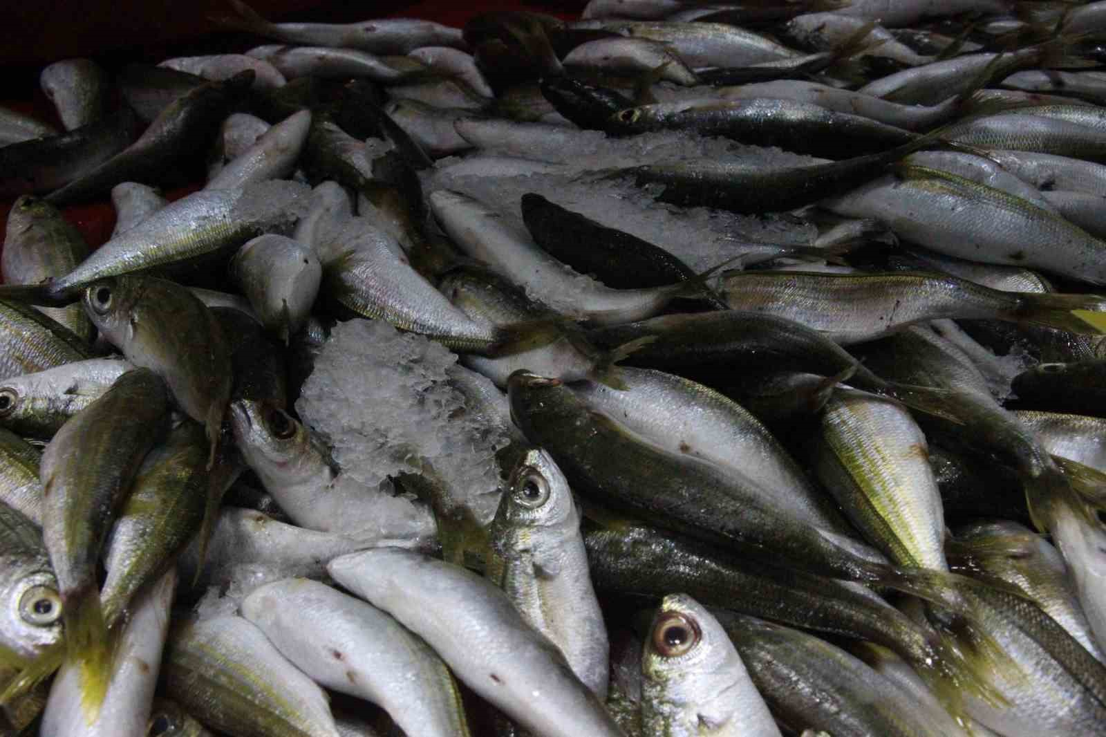 20251213Aw598704 3-1