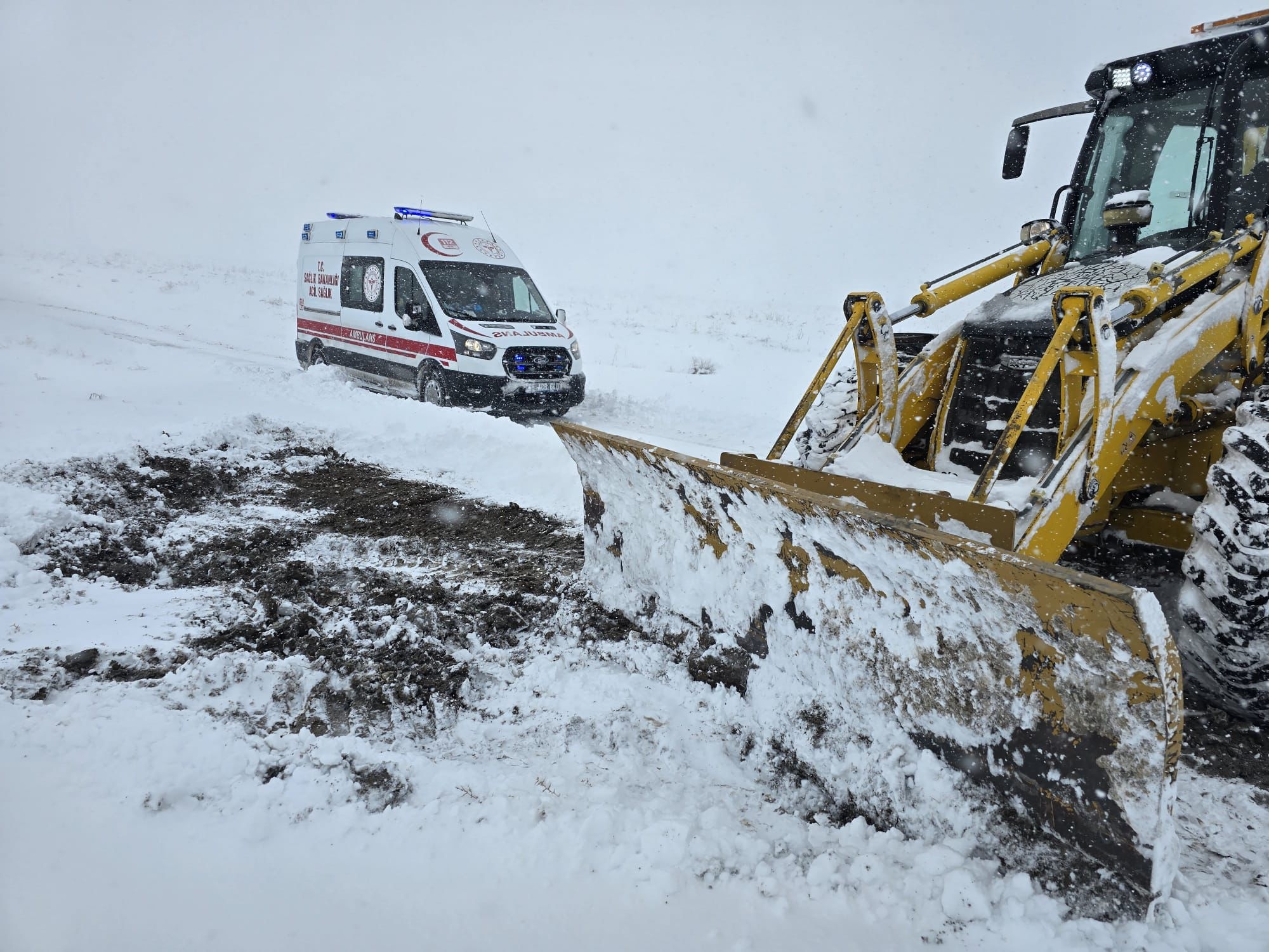 3B2E2Cf7 4496 43Fb Aa03 Cd04183B73B8