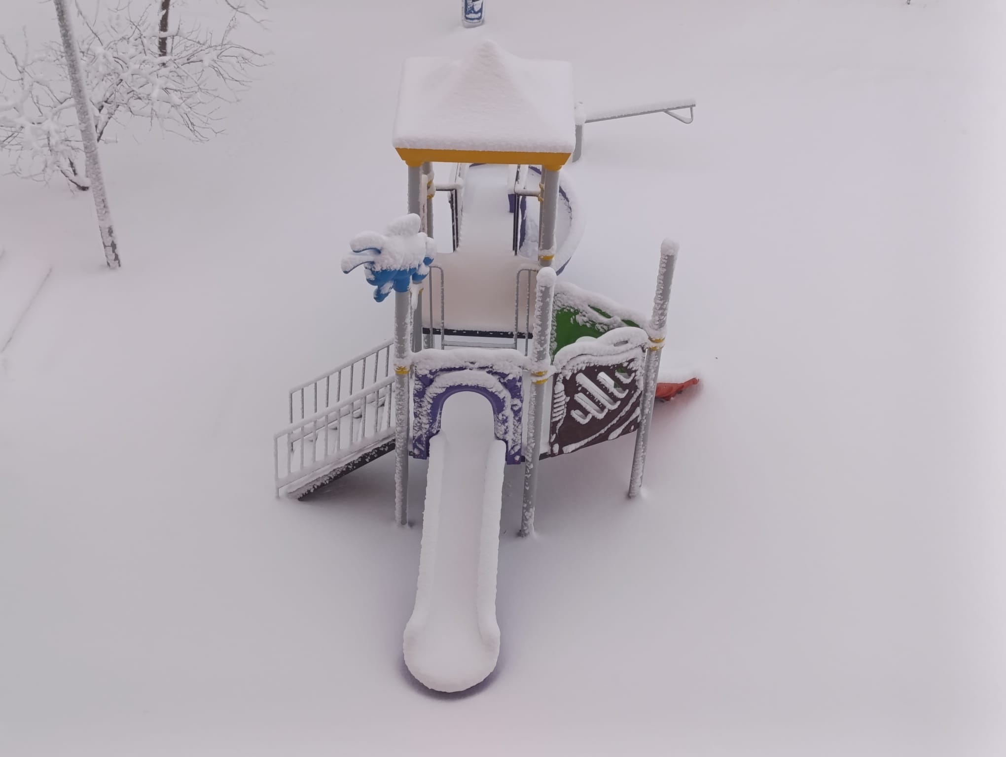 46211F02 8878 48B7 B079 F5Ed37786032