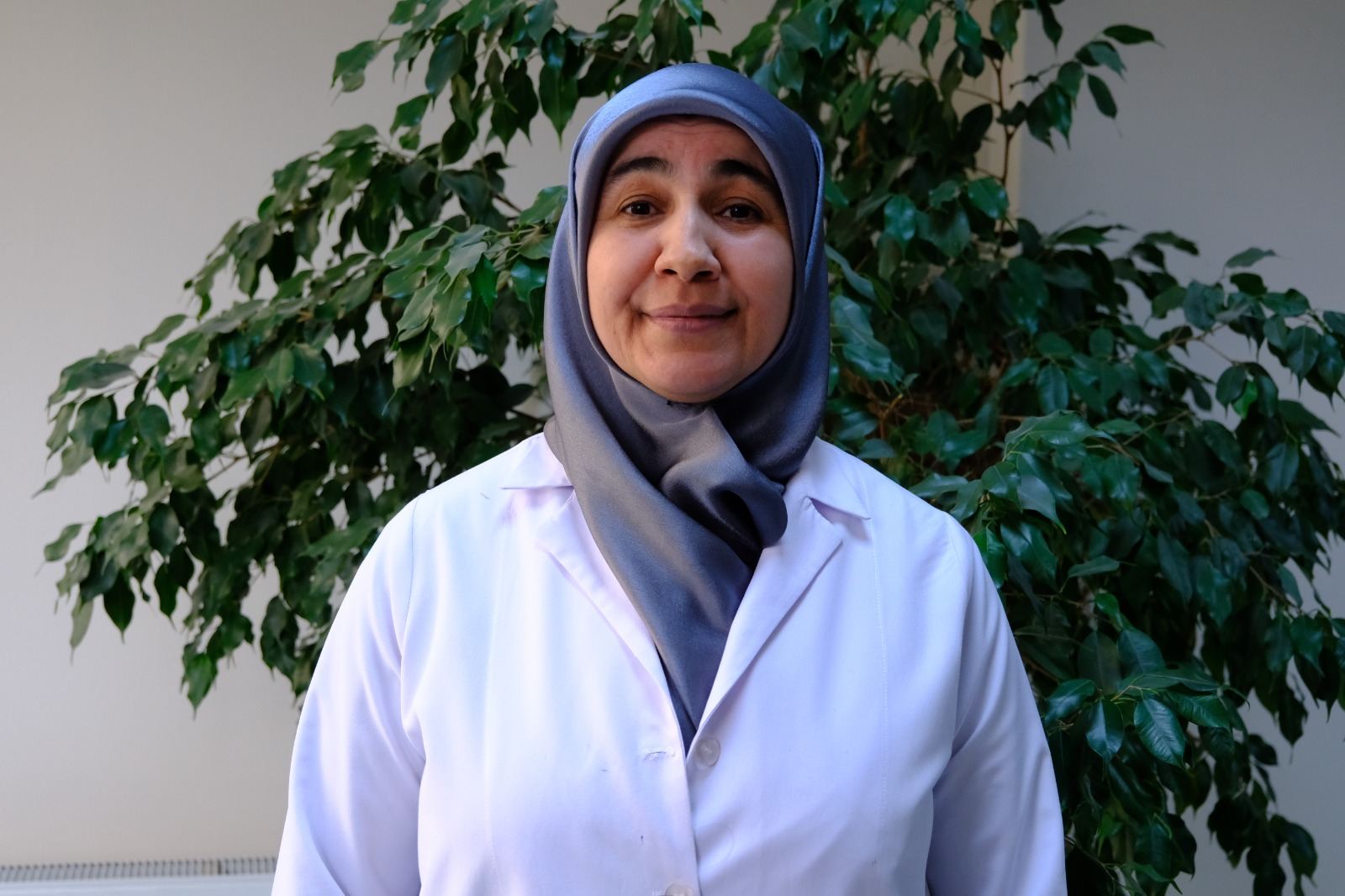 4D60592B 8A38 4578 847D 69B83De63953