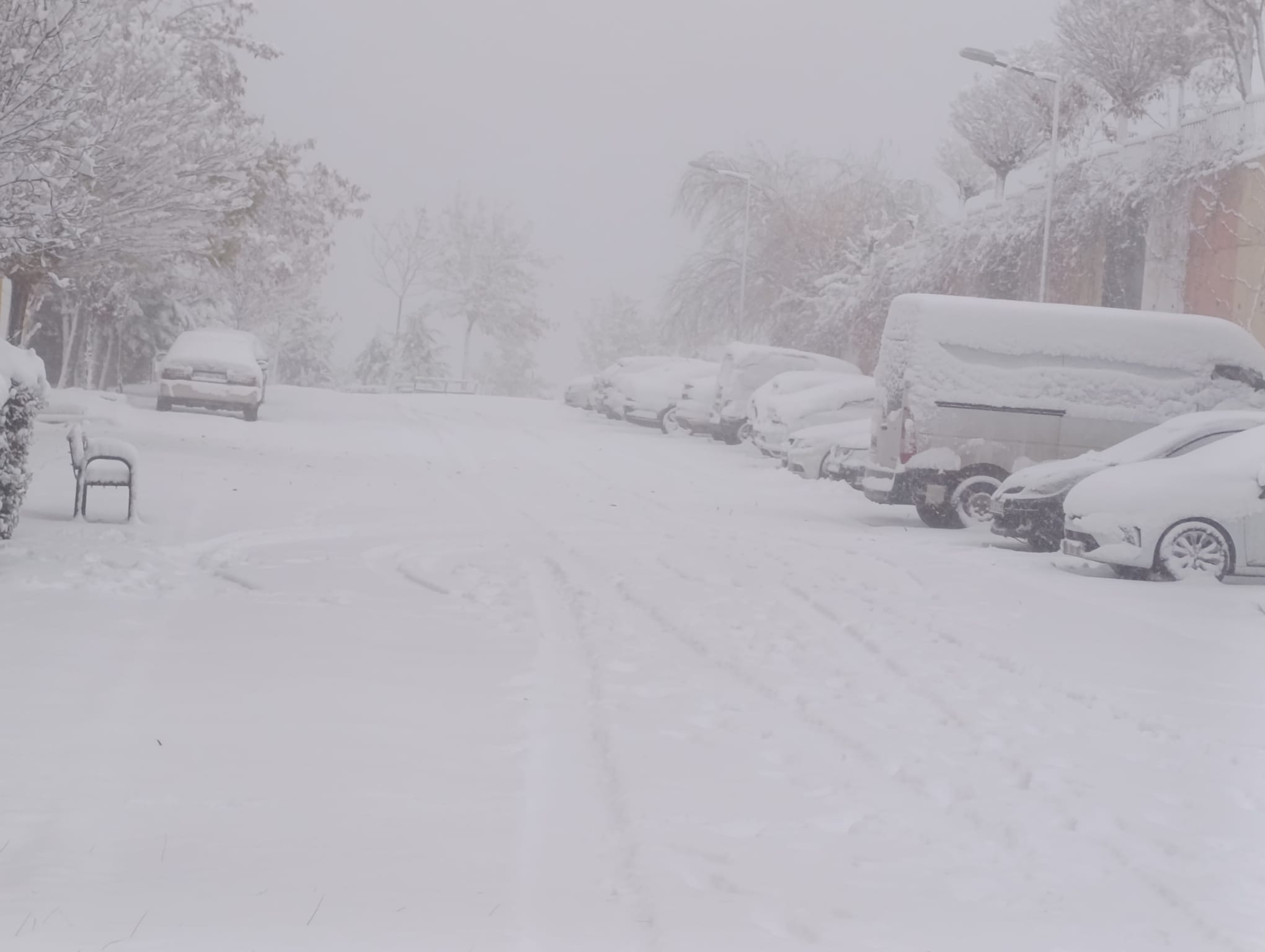 5124Fe6D Ca6F 4724 9844 1B33C8Ec624D