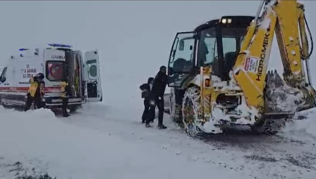 54122593 2D9F 49B1 81D5 2Bb923041457