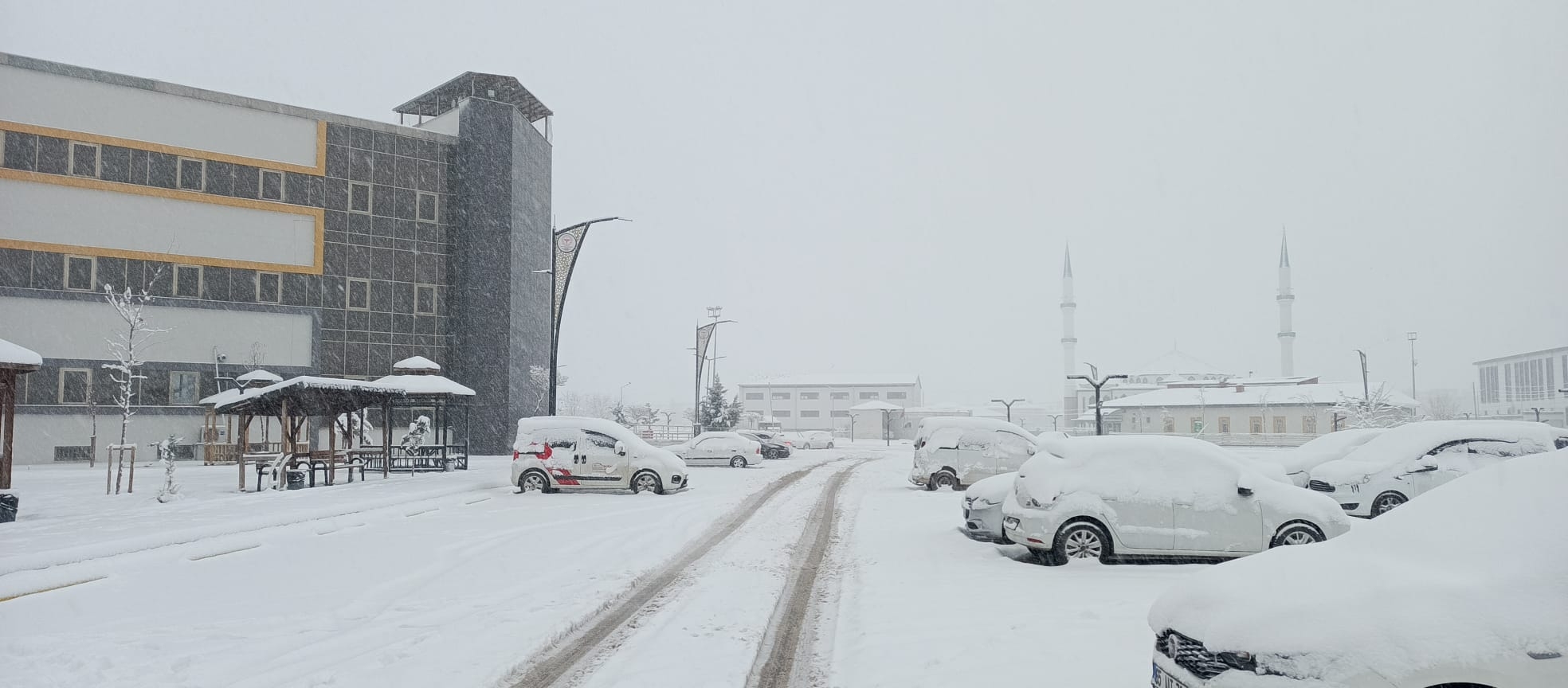 5B36D675 B028 49B8 B60C 5E1Db703A489