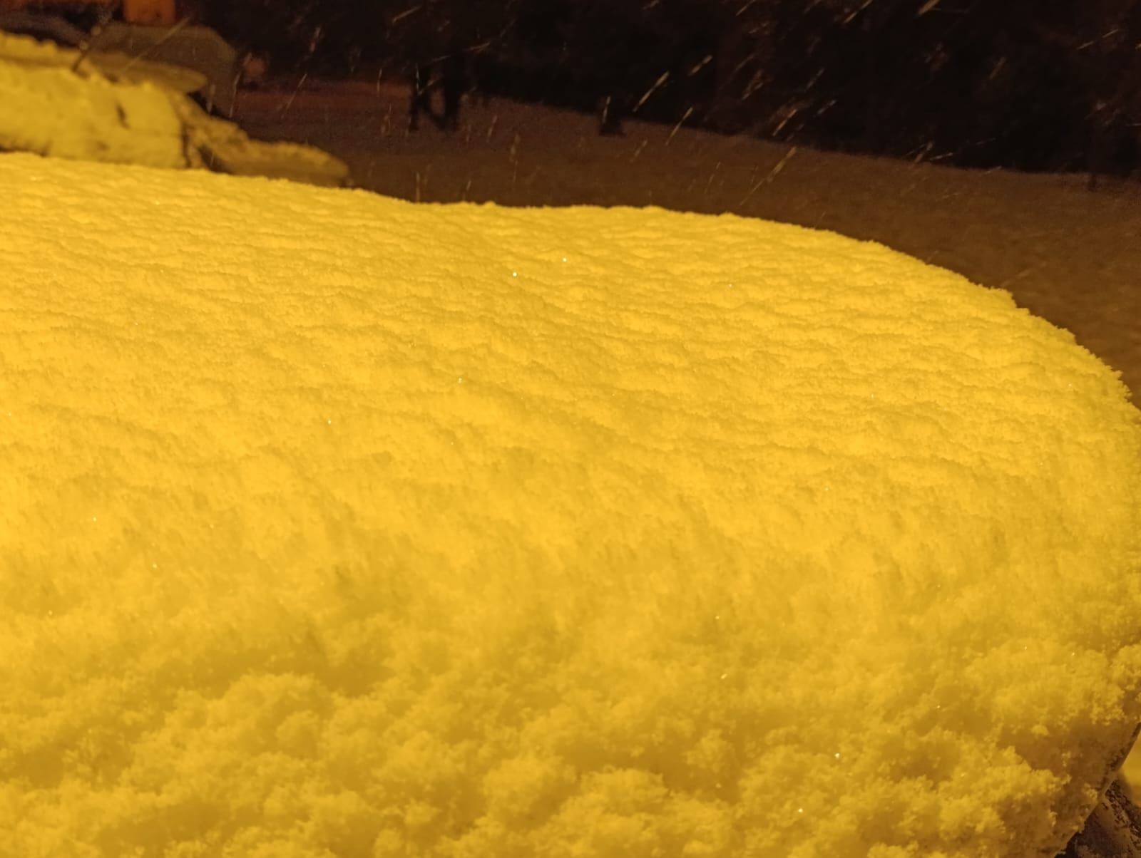 7206728F A45B 4135 B61C 8A724A13665B