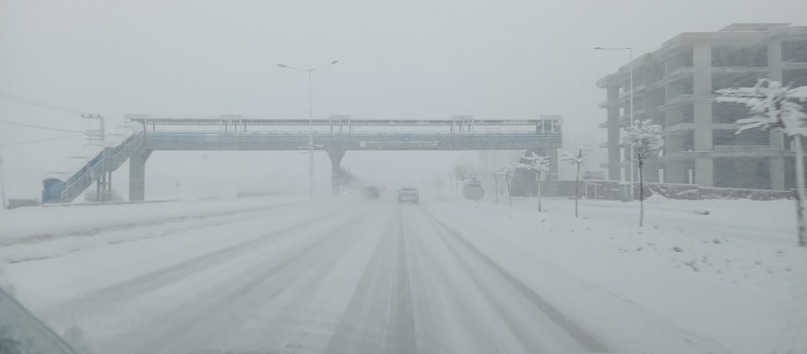 7E34D653 485F 423C 99F1 19F04Ffbb31E