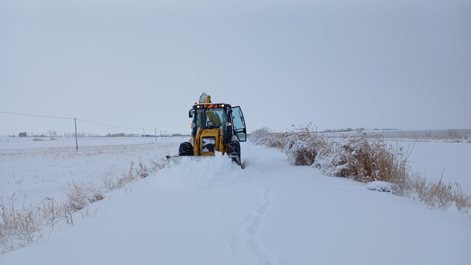 801Bbccd 1C43 49F2 871B E06D81Eeb7Bf