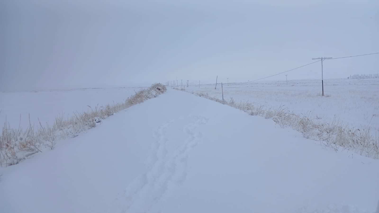 80A3F60D 5C60 4968 8D54 9E622A482F3B