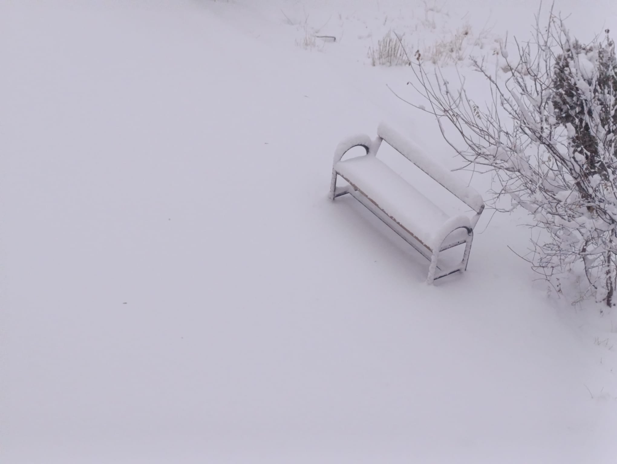 9590B486 Fc25 4D67 982C D882F90F9182