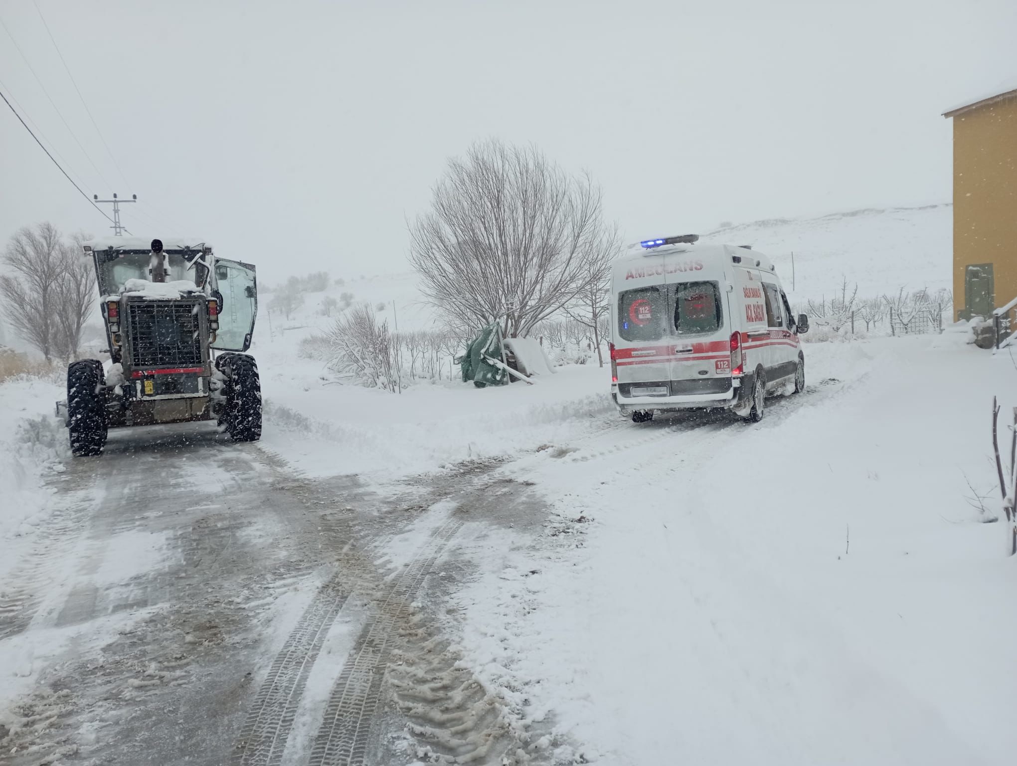 9A5Ab119 6Adb 44B9 8E3B 50C351C1Eee4