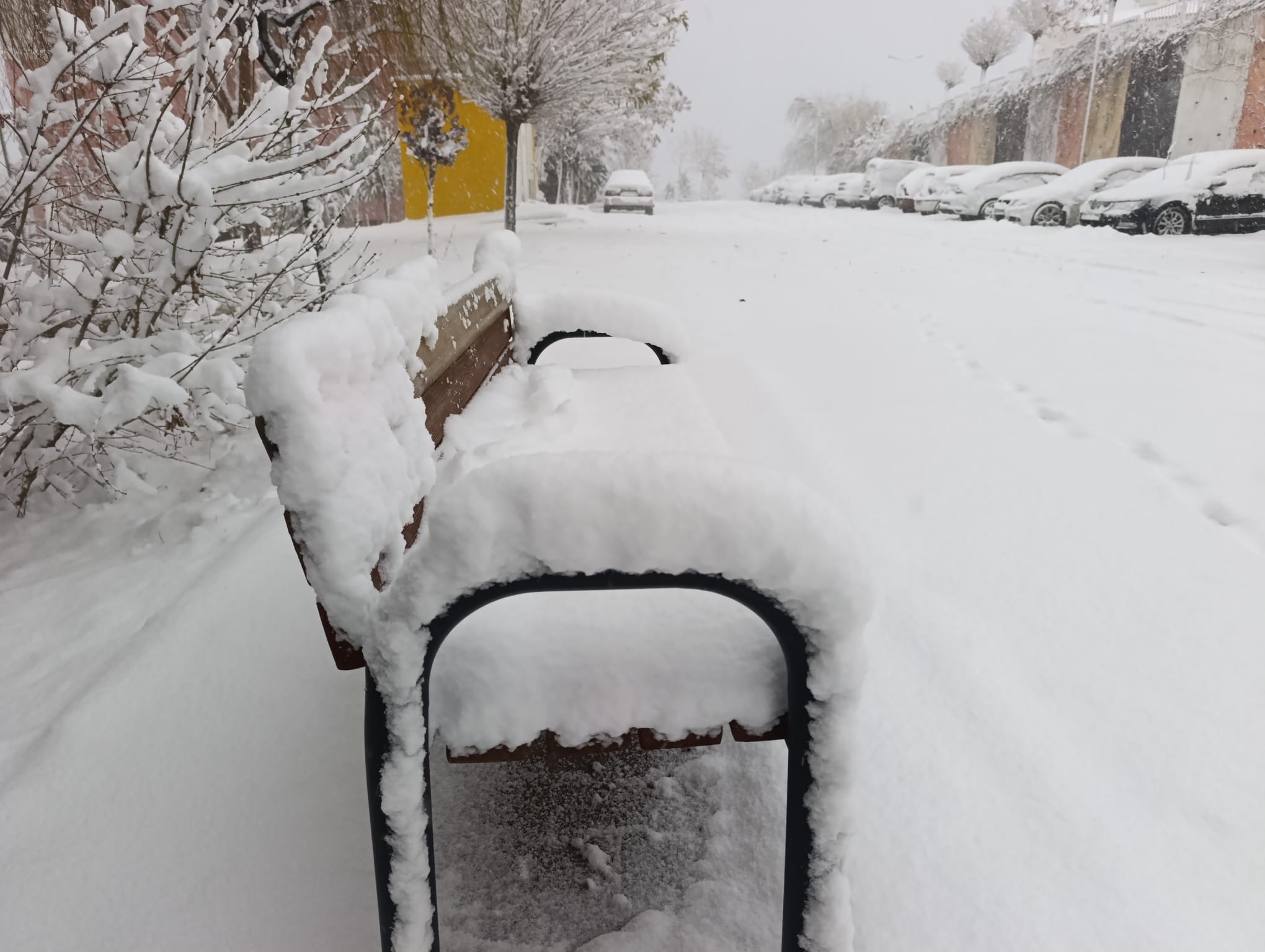 A848E8Be A9B1 476E 9892 4F5549Cdda6F-1