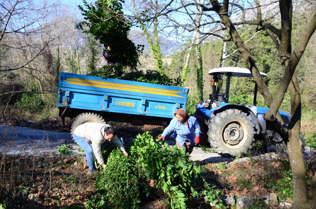 Aw603300 11 1766301261