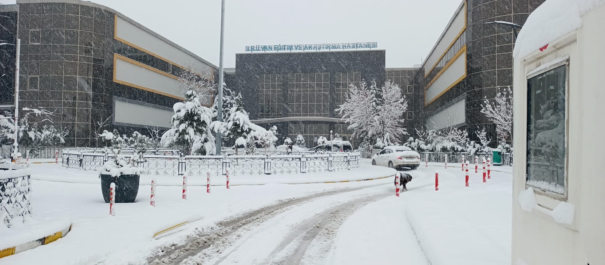 Cbb55341 500D 44E3 94E9 C69Bd705E7Bf