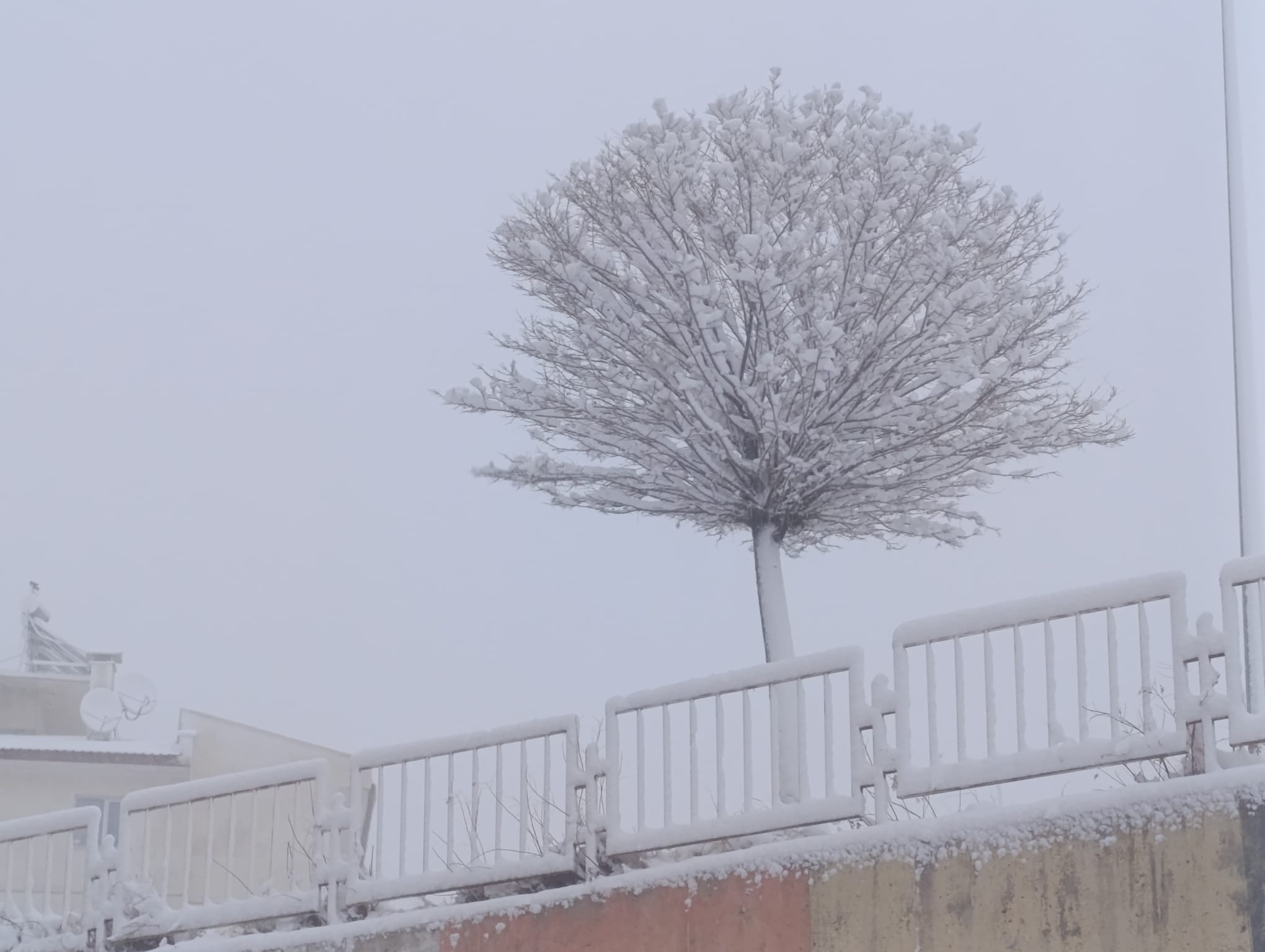 D32Eb954 F5Cb 459A A362 Cfbd0Aaab9Be