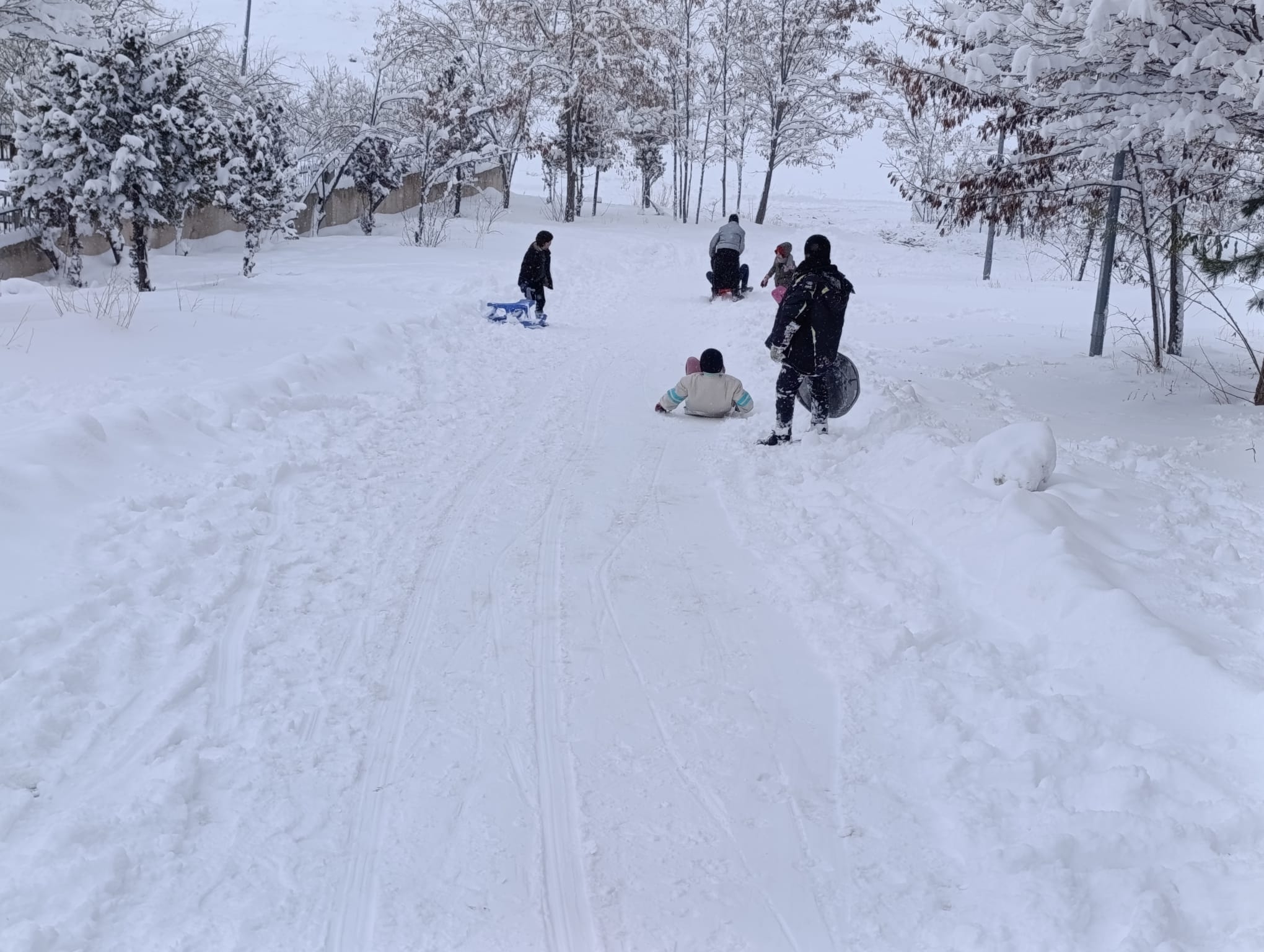 Df1542C3 47Ca 44A1 A262 9A7A7E087438