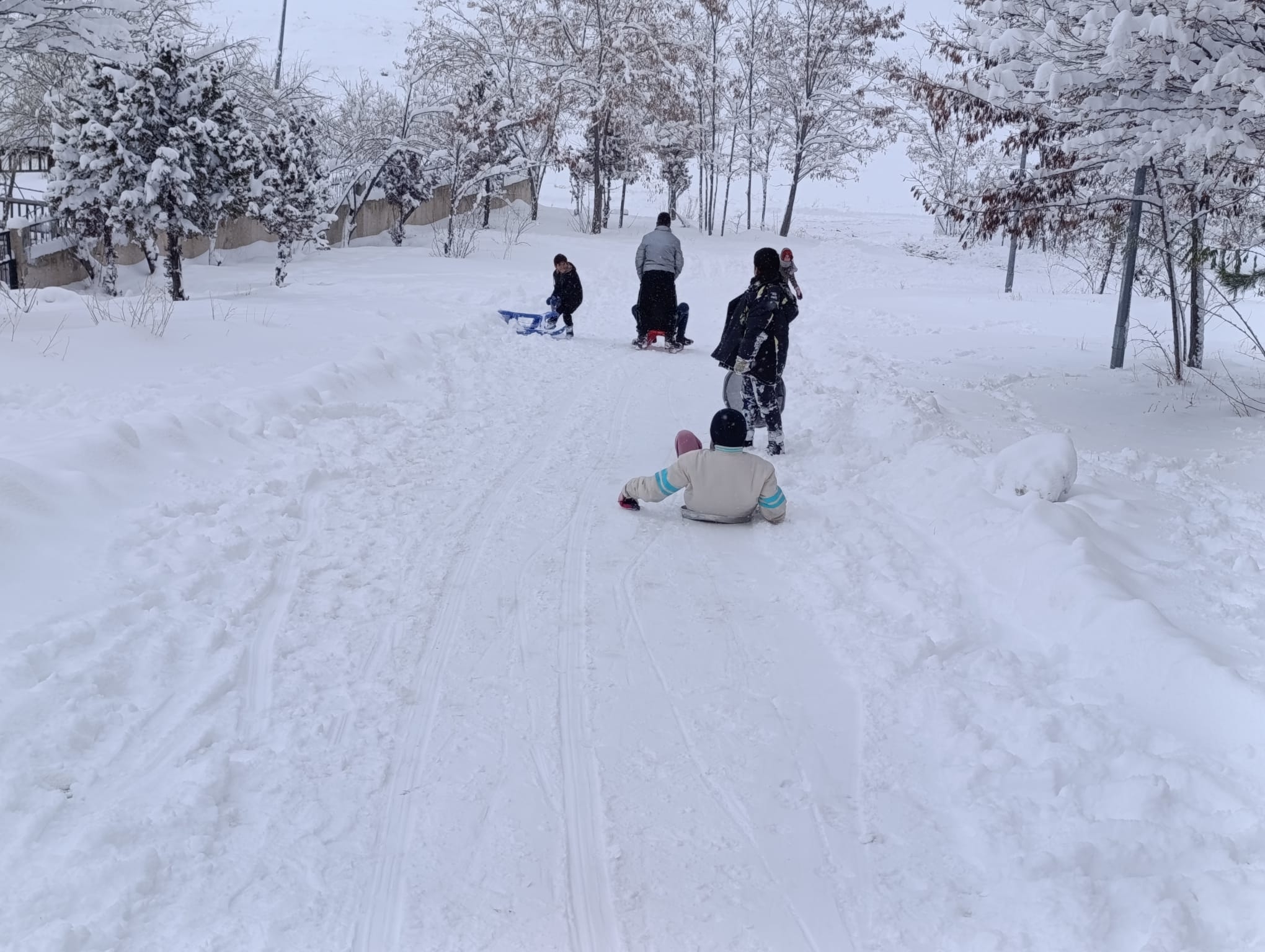 F52F0Ce5 Eda9 4E04 9Fb8 B08A9Dd762Da