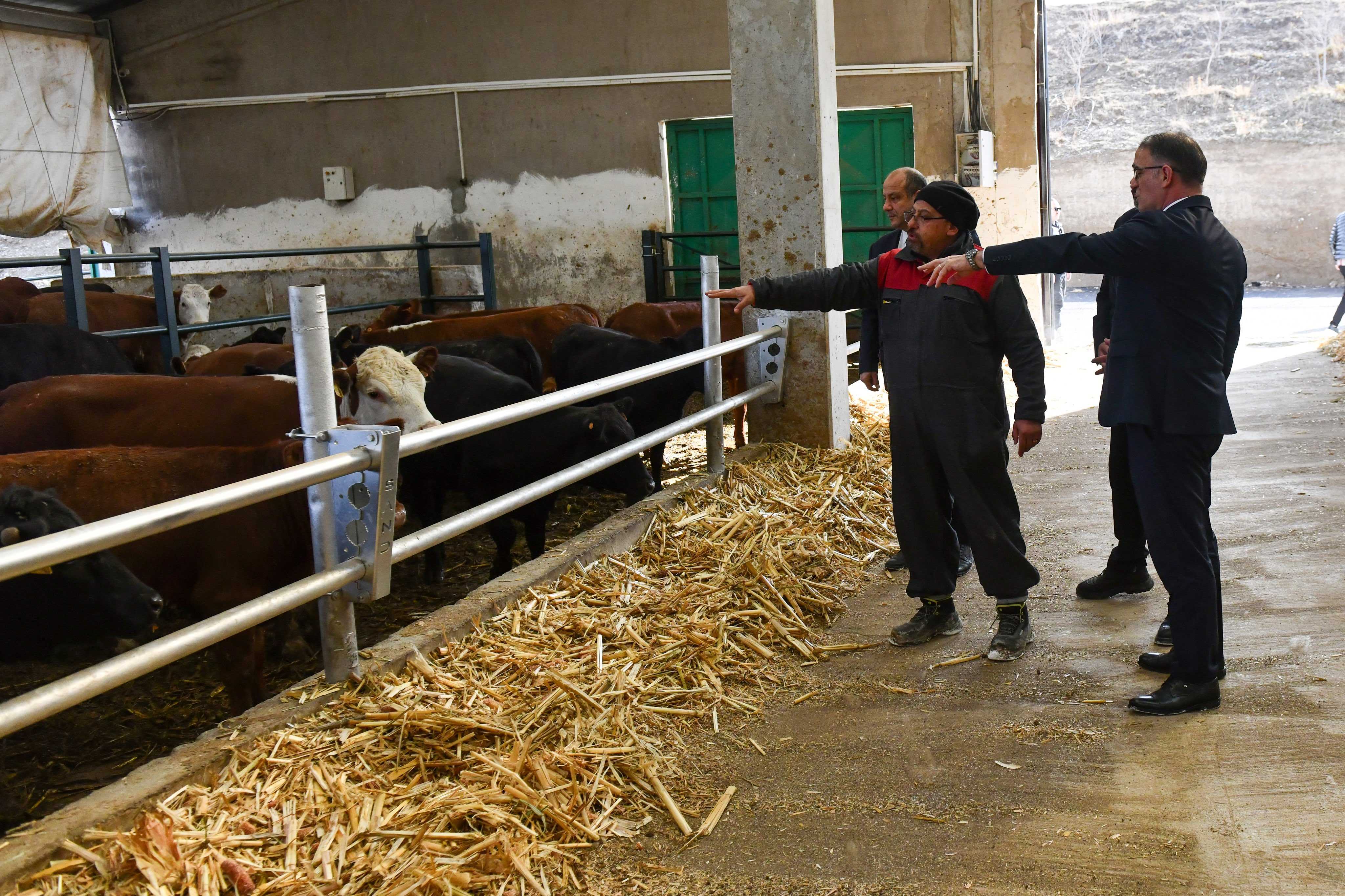 G7Q Hss V W Q A Ab Xrh