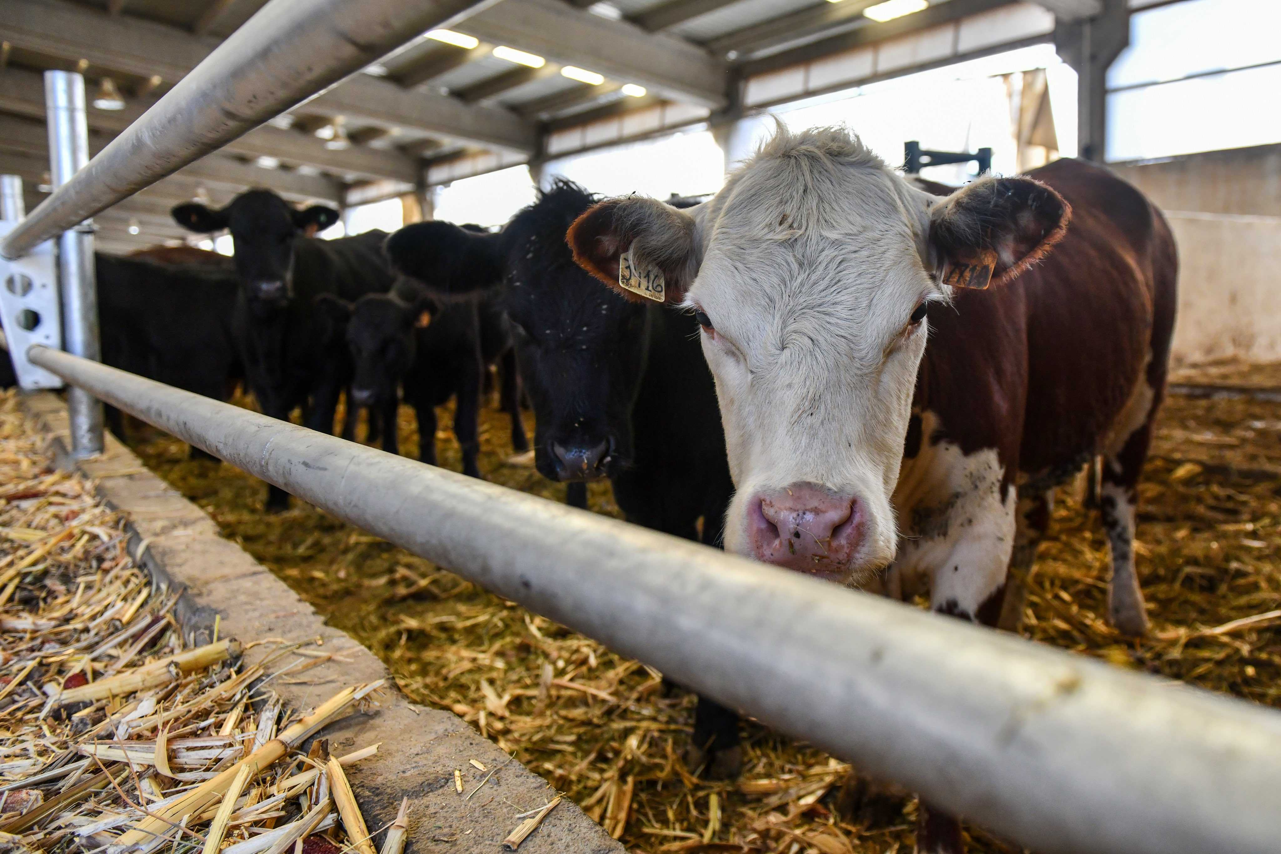 G7Q Hssb X M A Ap B A L