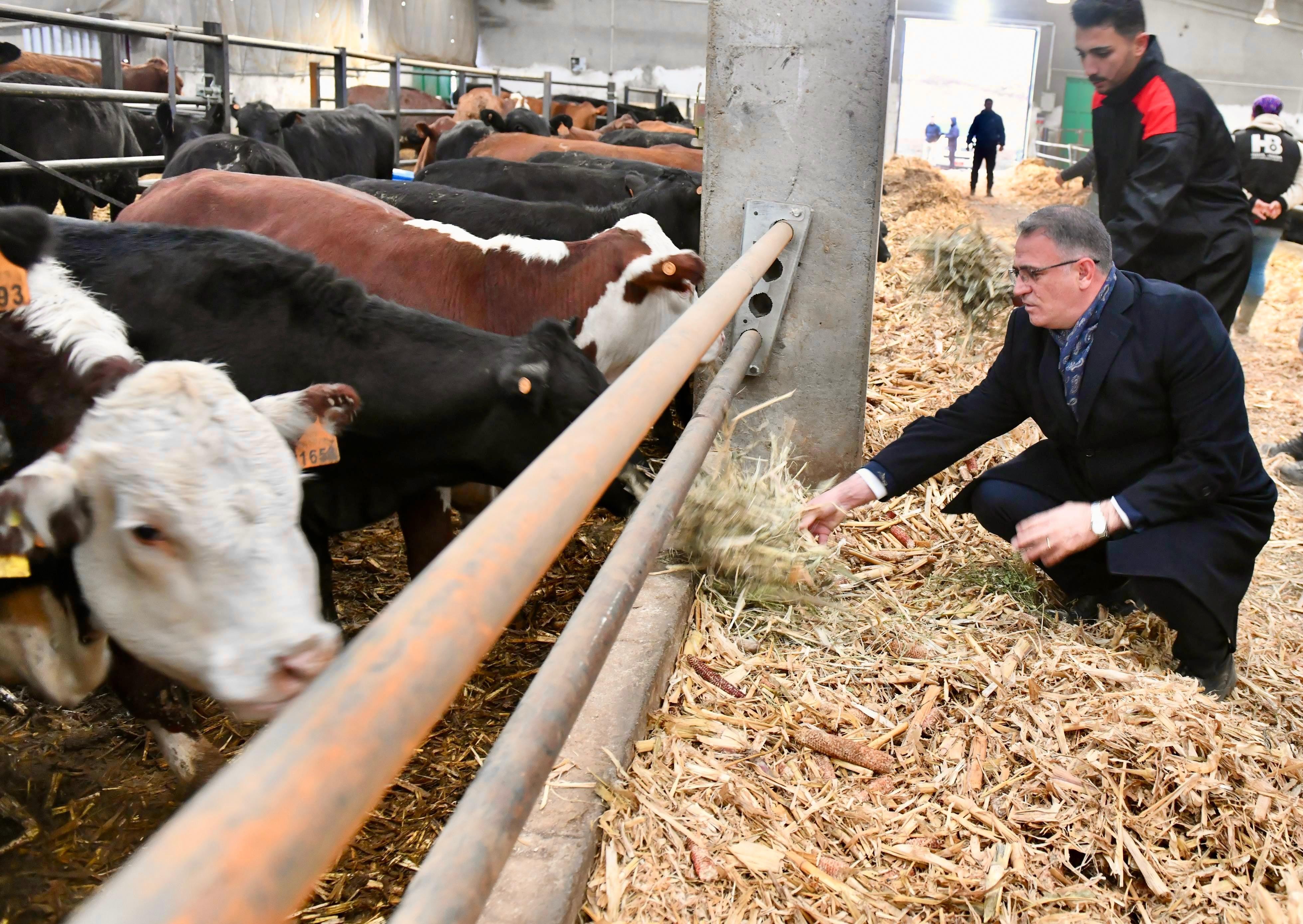 G8 T Tt1U W I Akpsvm