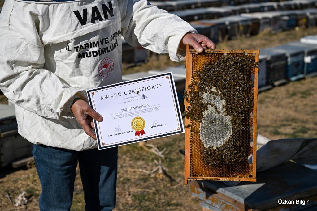 I M G 20251204 W A0021