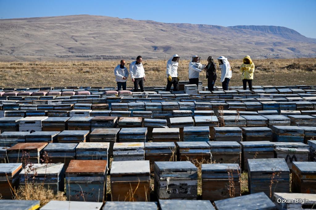 I M G 20251204 W A0022