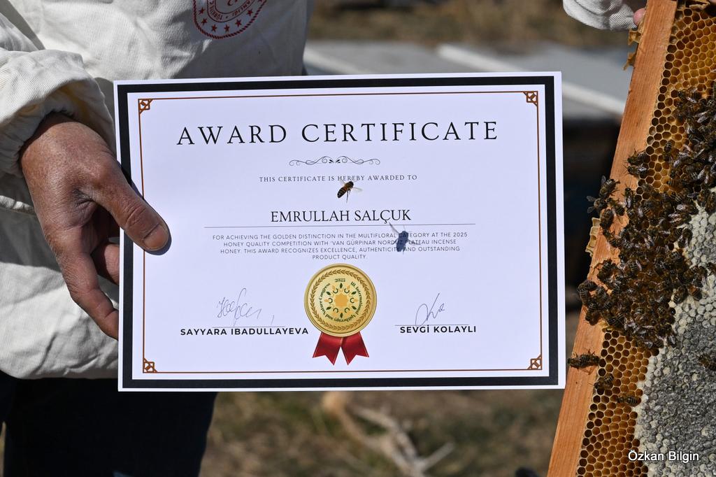 I M G 20251204 W A0024