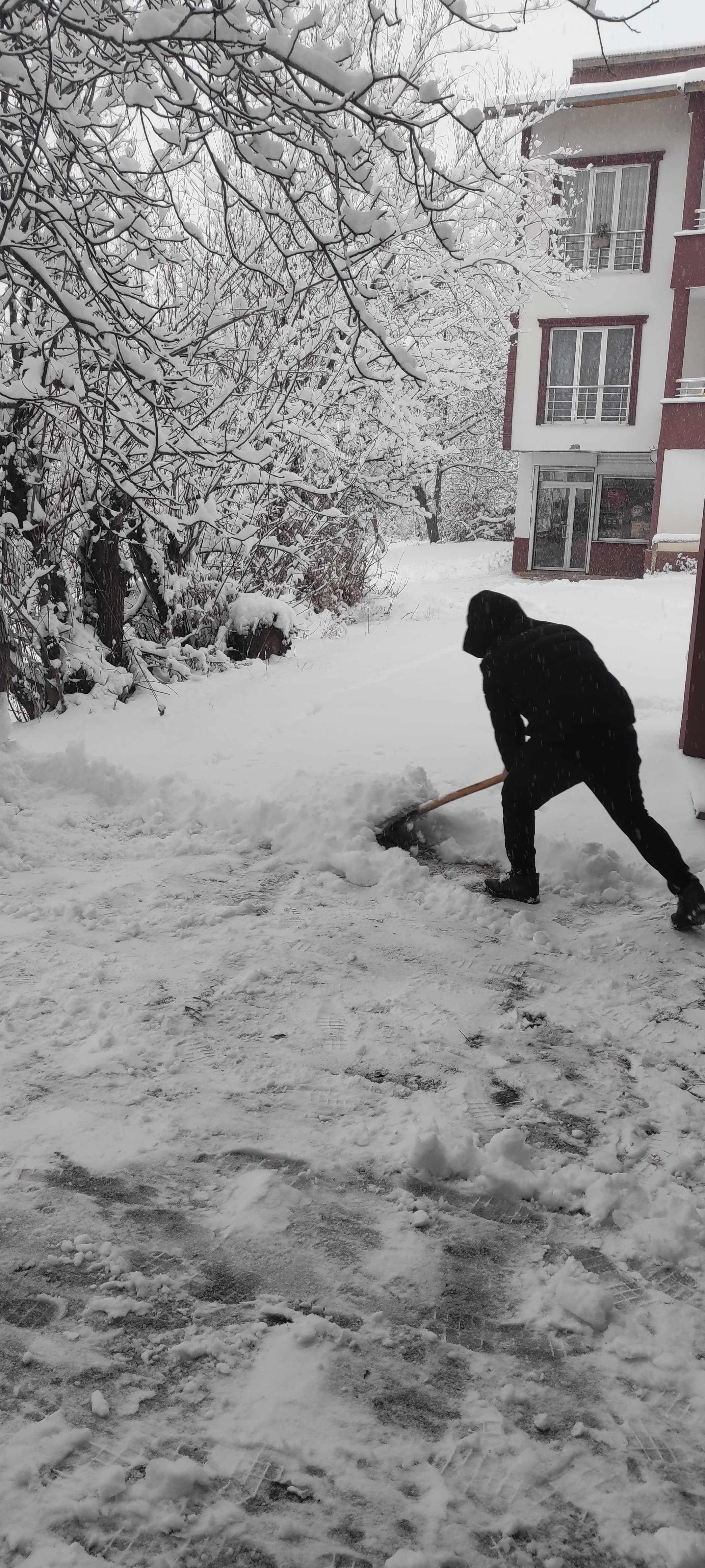 Whatsapp Image 2025 12 16 At 11.25.00