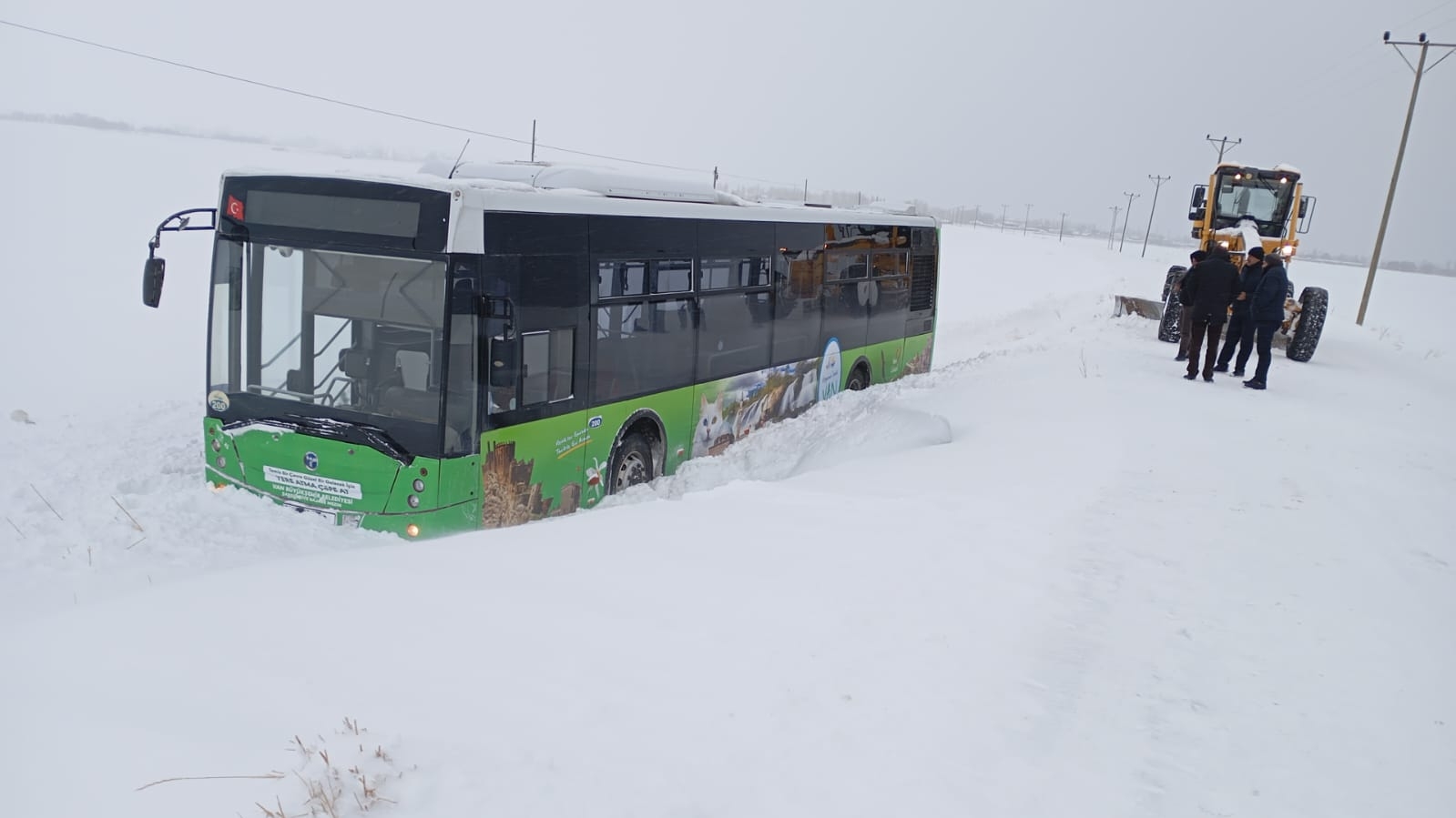 14166486 Ec73 4752 Bad2 5C9C63469556