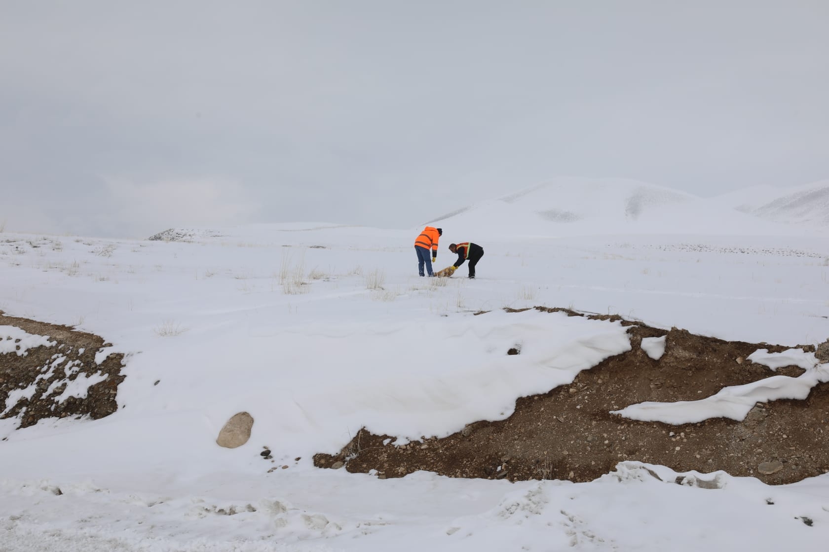 1A075539 398A 4A1E A221 05B2F5C57D57