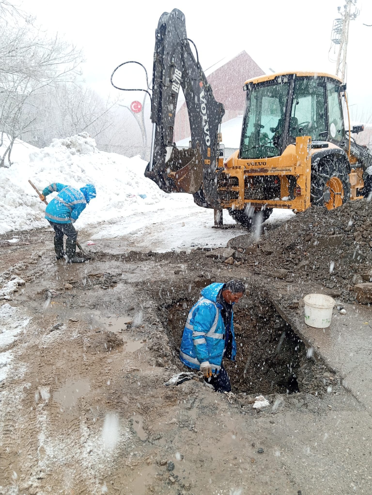 1E84F20D 4381 4532 81C1 F007B5A14Ff3