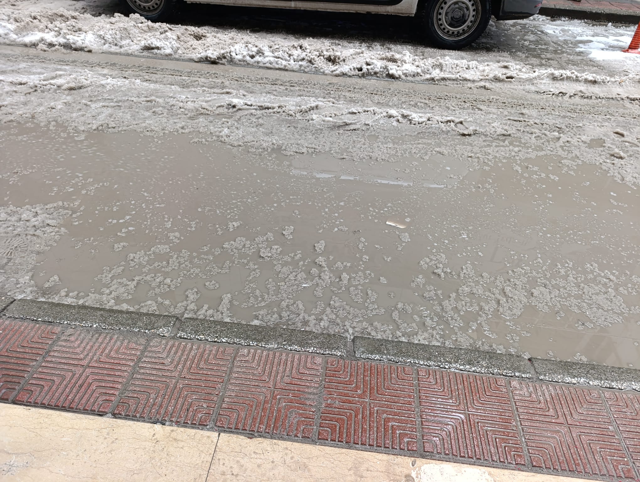 37F11Df5 Cb05 4531 8044 C93A869B12C0